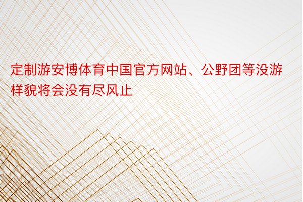 定制游安博体育中国官方网站、公野团等没游样貌将会没有尽风止