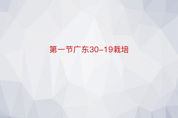 第一节广东30-19栽培