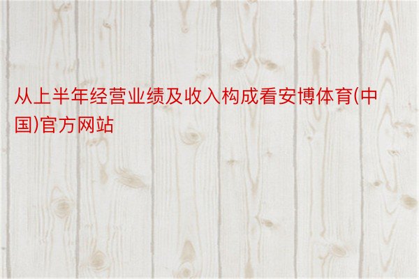 从上半年经营业绩及收入构成看安博体育(中国)官方网站